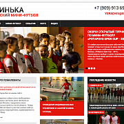 Школа Мини-футбола г. Подольск